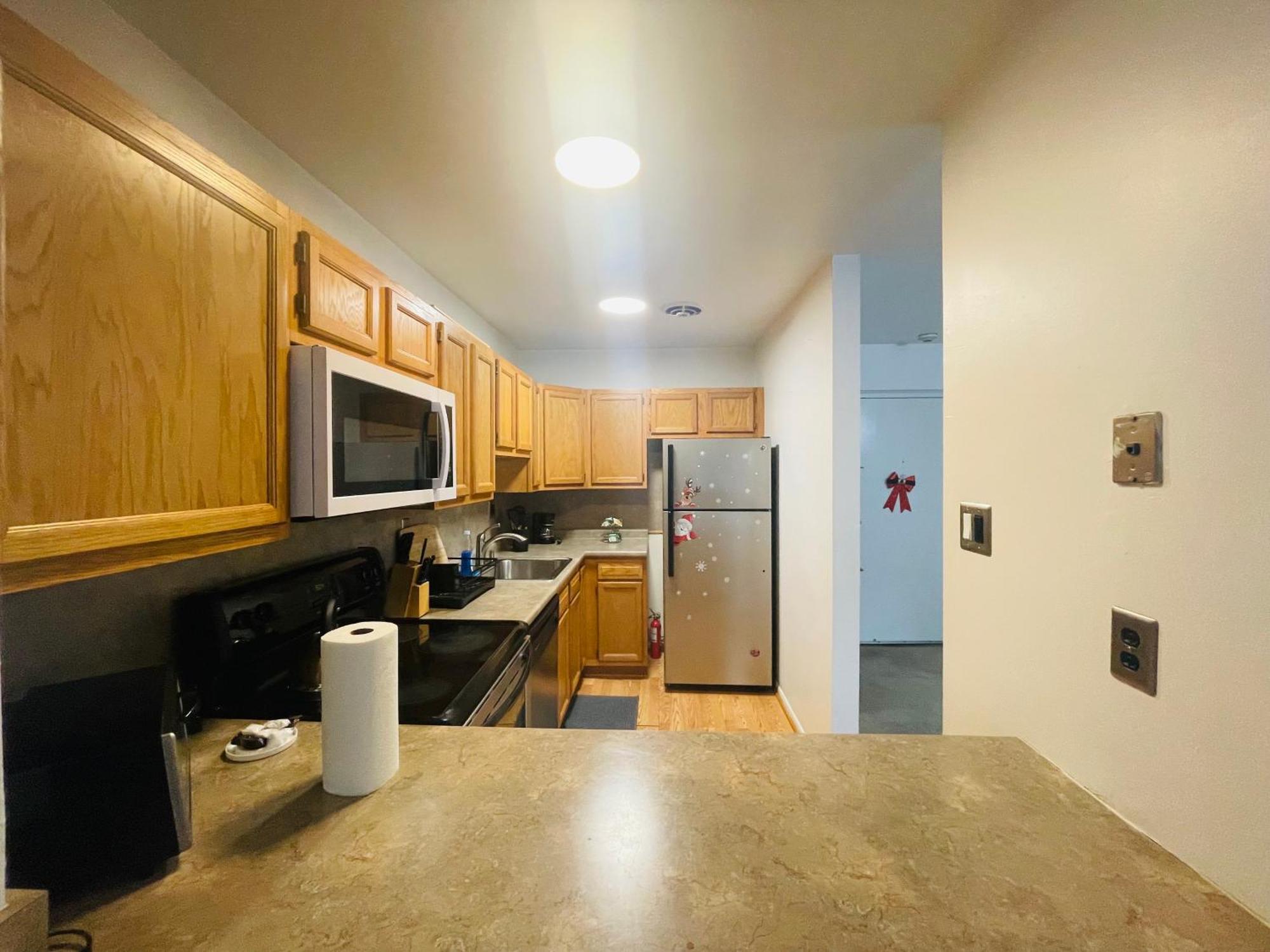 Large, Clean, Comfortable, 1Br Near Einstein Hos Elkins Park Exterior foto